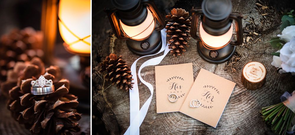 elopement wedding in sequoia national park california
