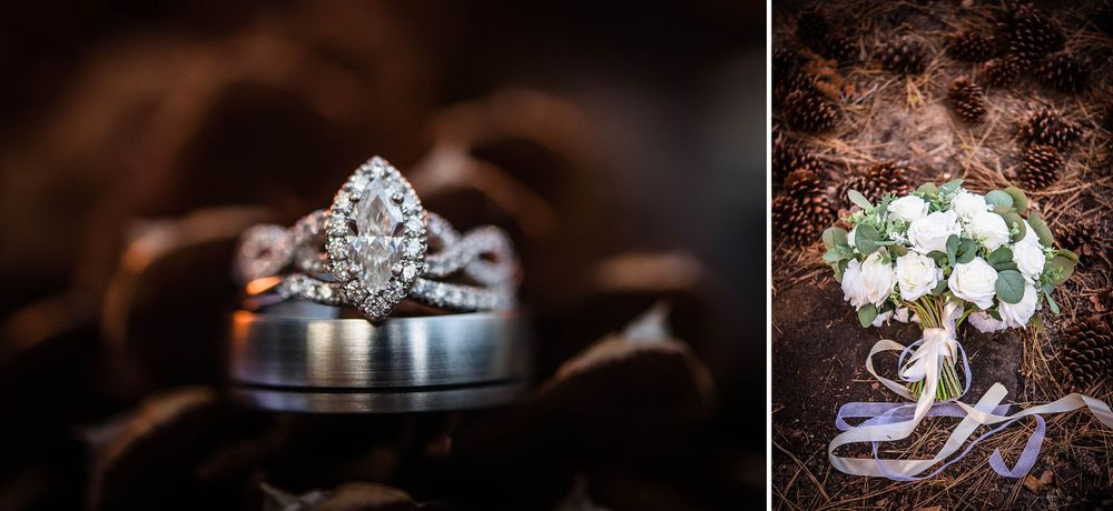 elopement wedding in sequoia national park california