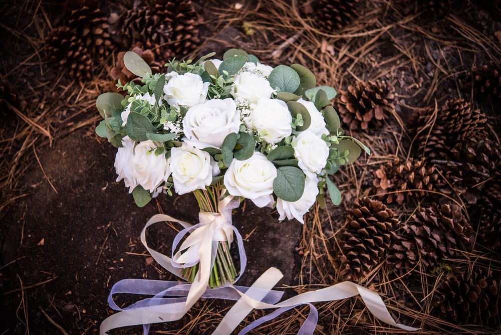 elopement wedding in sequoia national park california