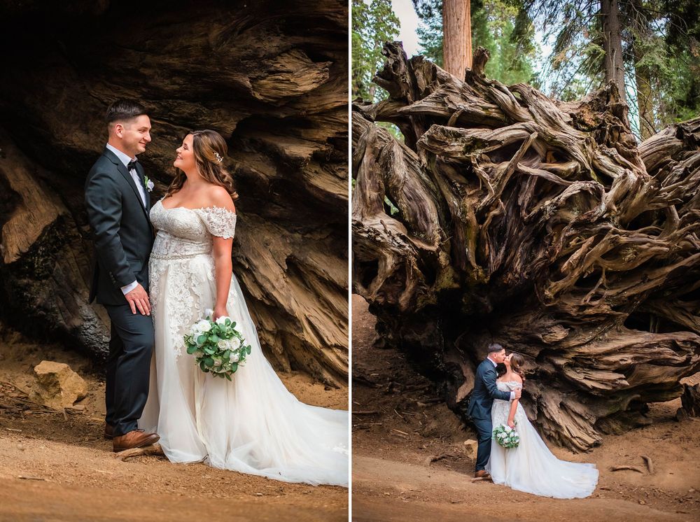 elopement wedding in sequoia national park california