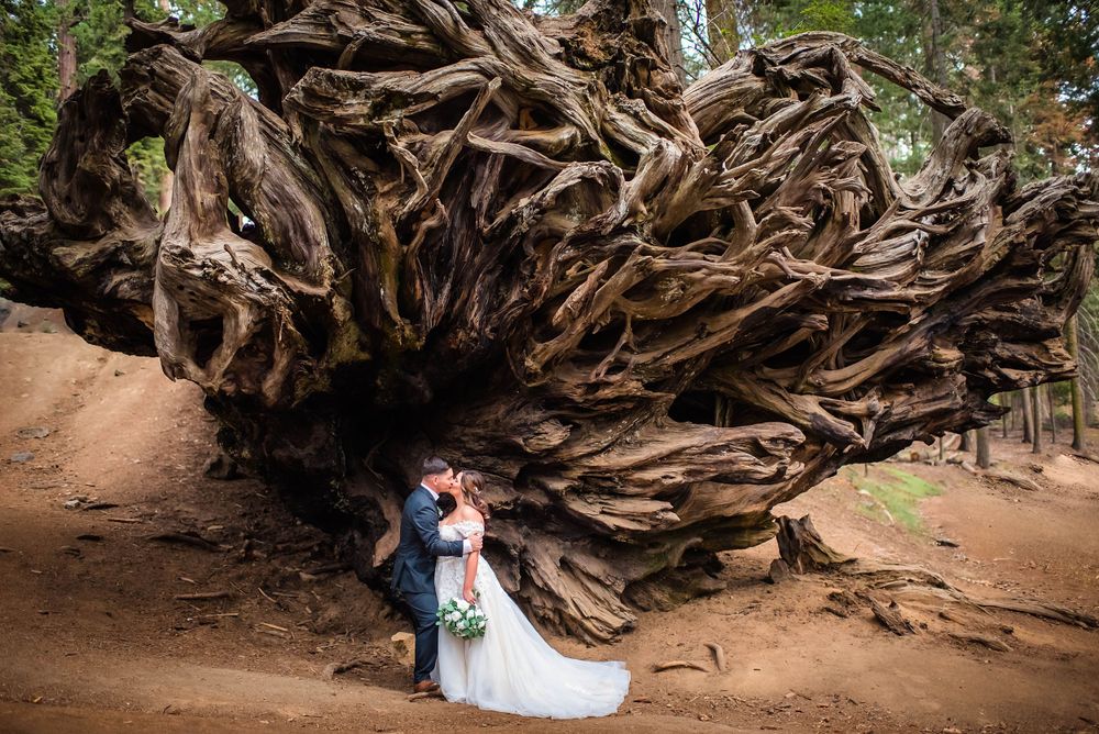 elopement wedding in sequoia national park california
