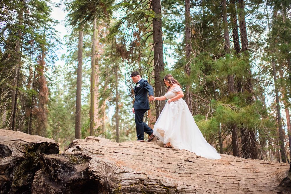 elopement wedding in sequoia national park california