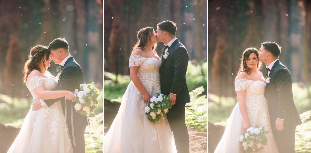 elopement wedding in sequoia national park california