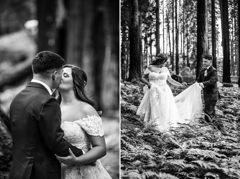 elopement wedding in sequoia national park california