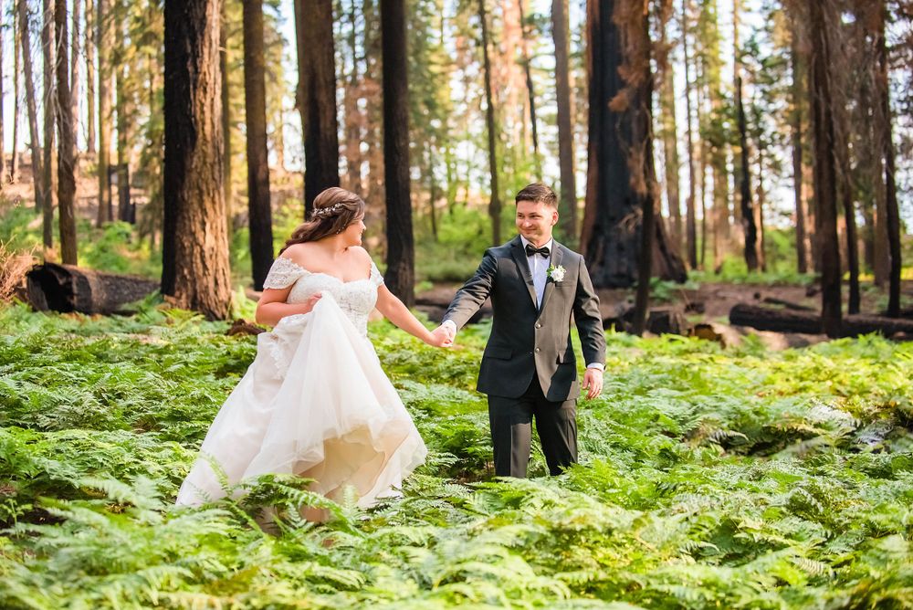 elopement wedding in sequoia national park california