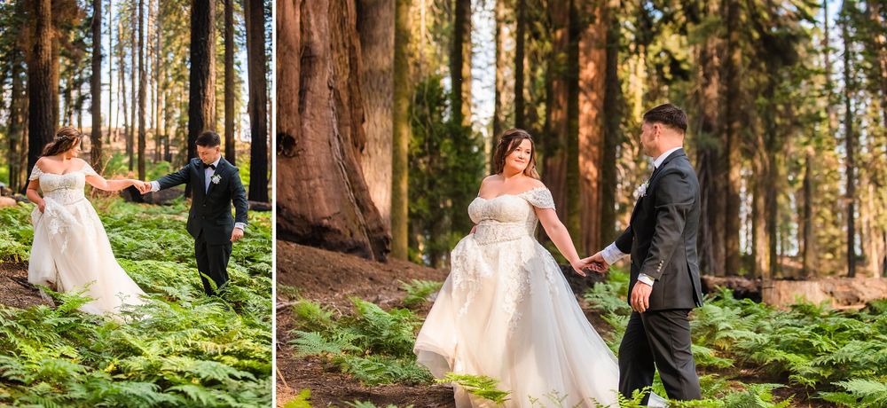 elopement wedding in sequoia national park california