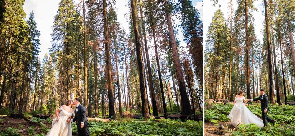 elopement wedding in sequoia national park california