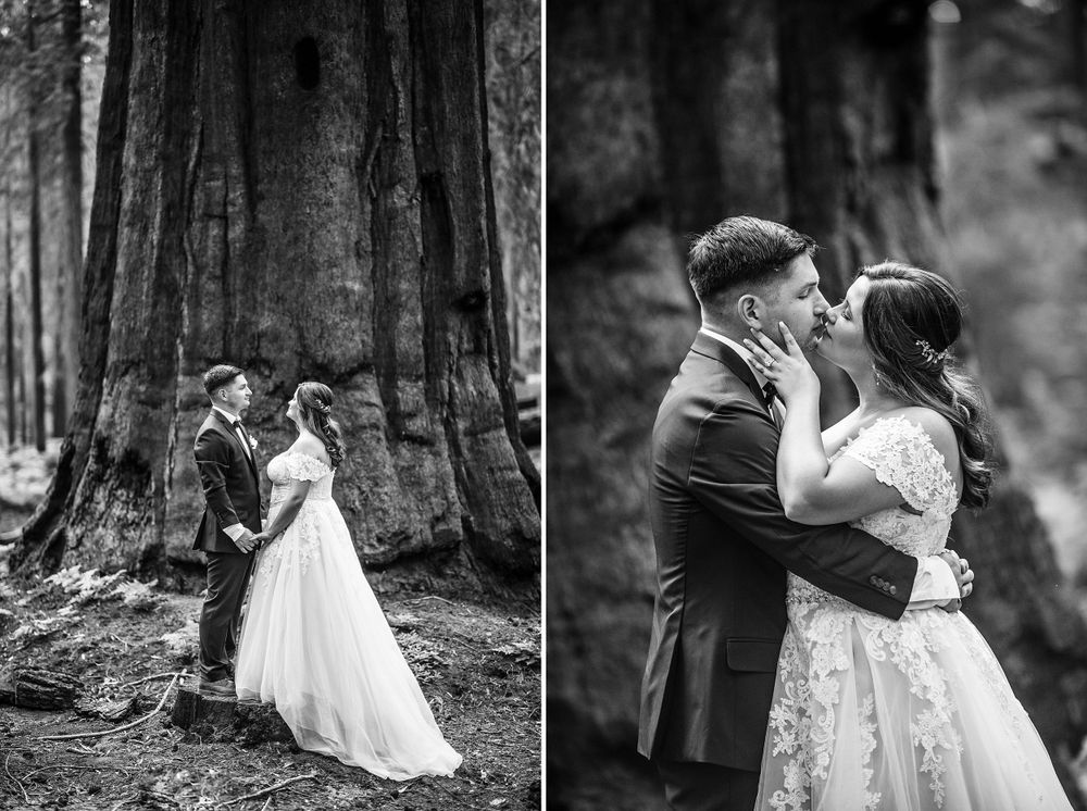 elopement wedding in sequoia national park california
