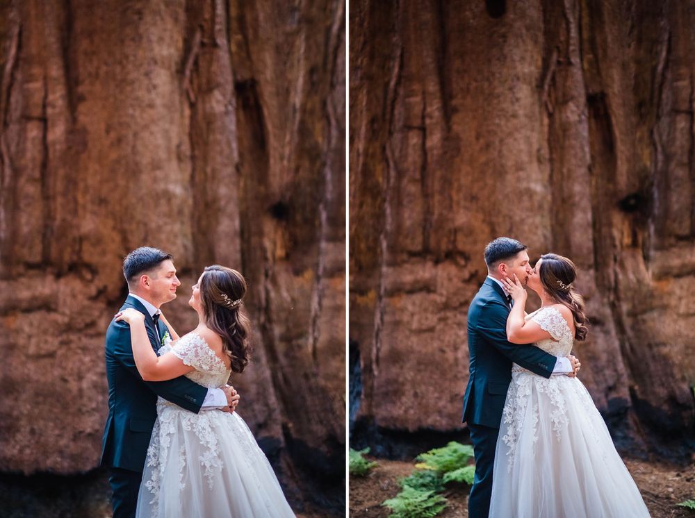 elopement wedding in sequoia national park california