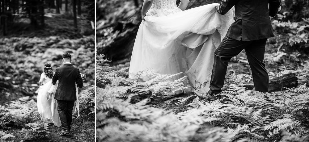 elopement wedding in sequoia national park california