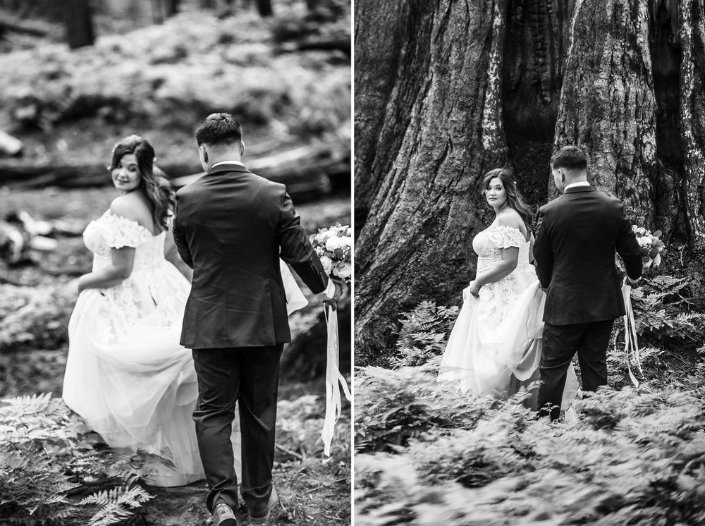 elopement wedding in sequoia national park california