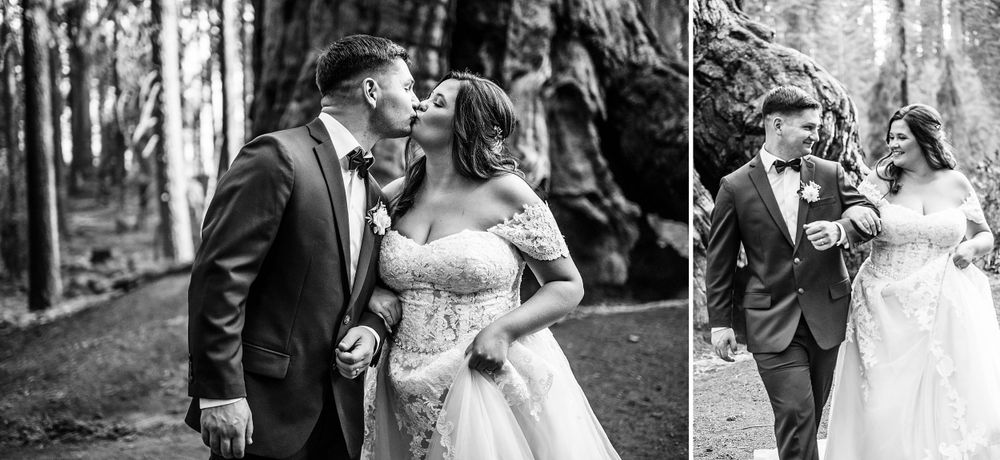 elopement wedding in sequoia national park california