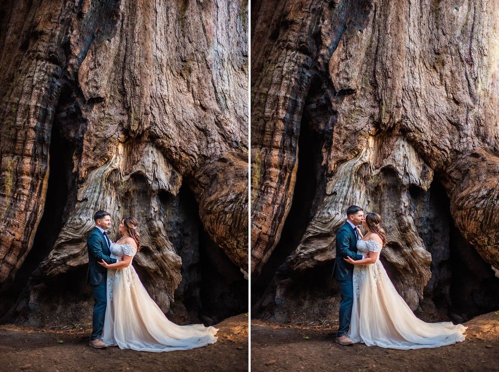 elopement wedding in sequoia national park california