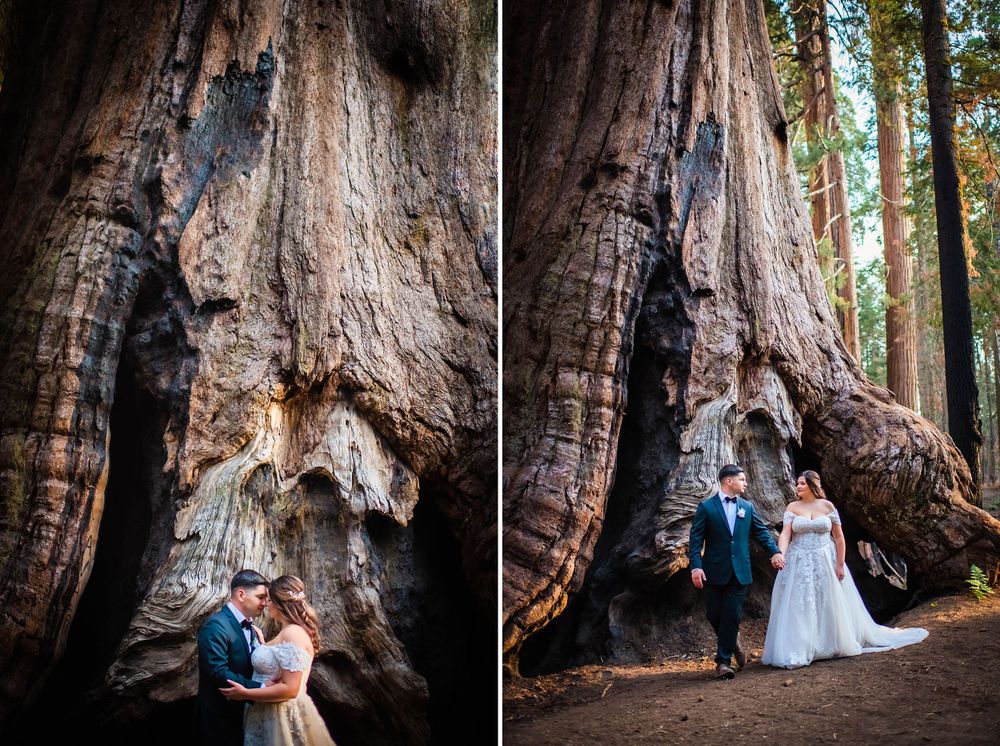 elopement wedding in sequoia national park california