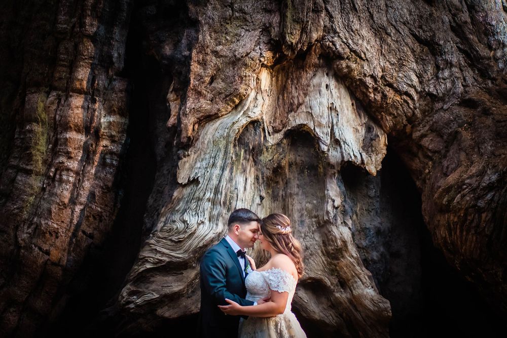 elopement wedding in sequoia national park california