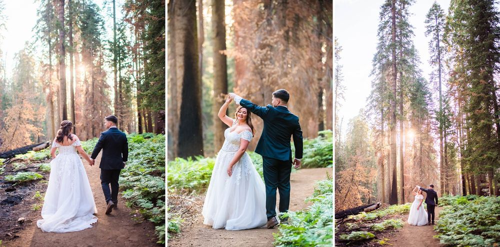 elopement wedding in sequoia national park california