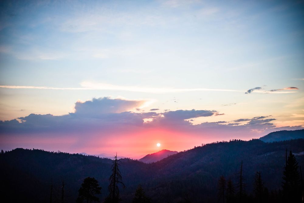 elopement wedding in sequoia national park california