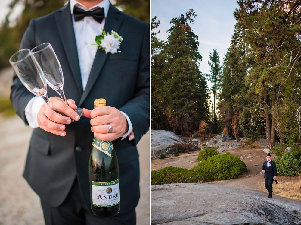 elopement wedding in sequoia national park california