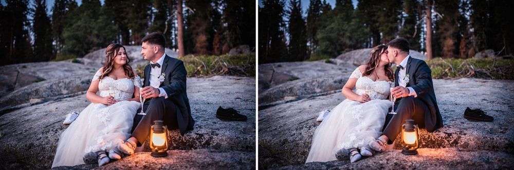 elopement wedding in sequoia national park california