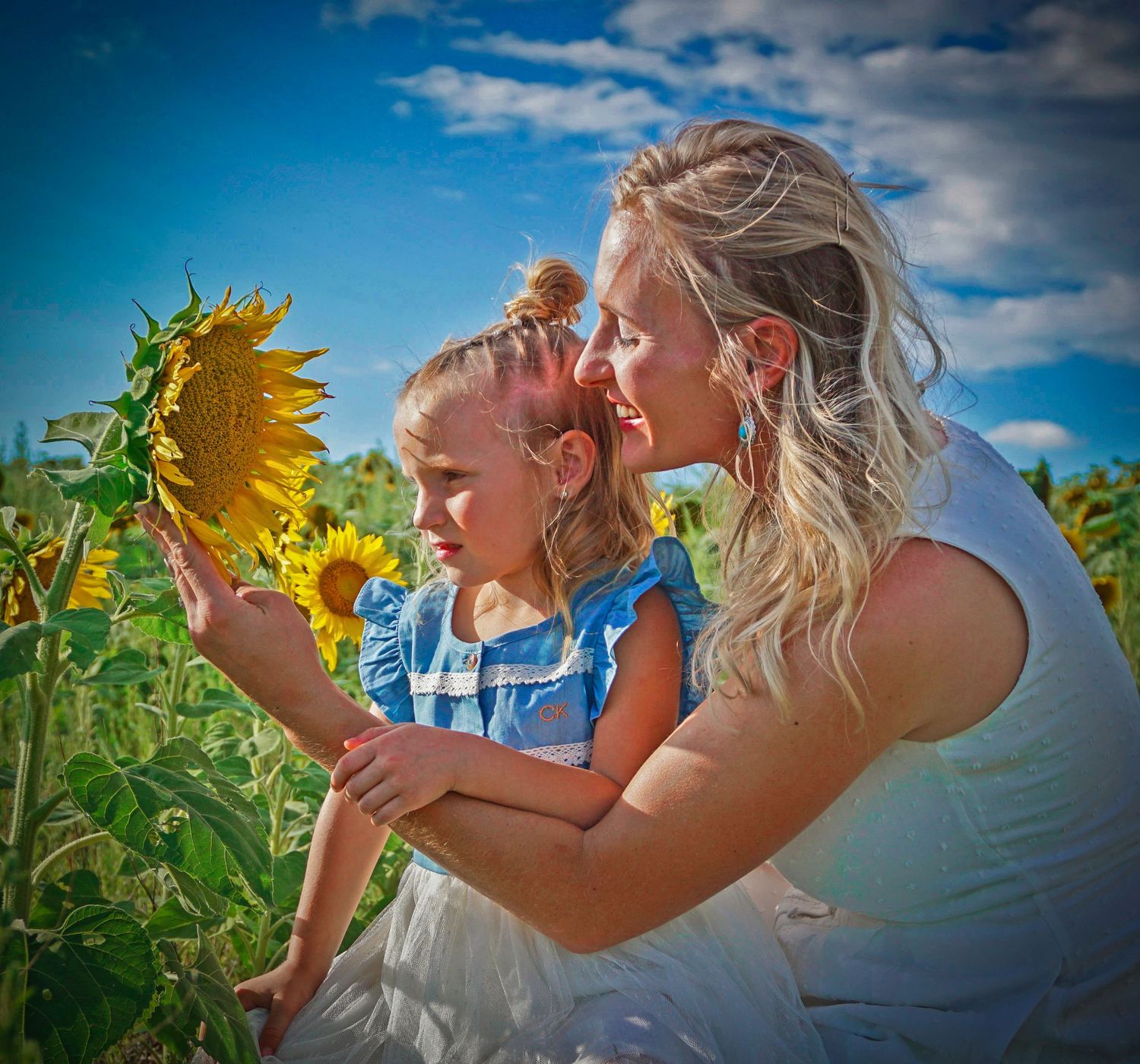 A mother and young daughter admire a sunflower together in a sunny field of sunflowers on a beautiful day.