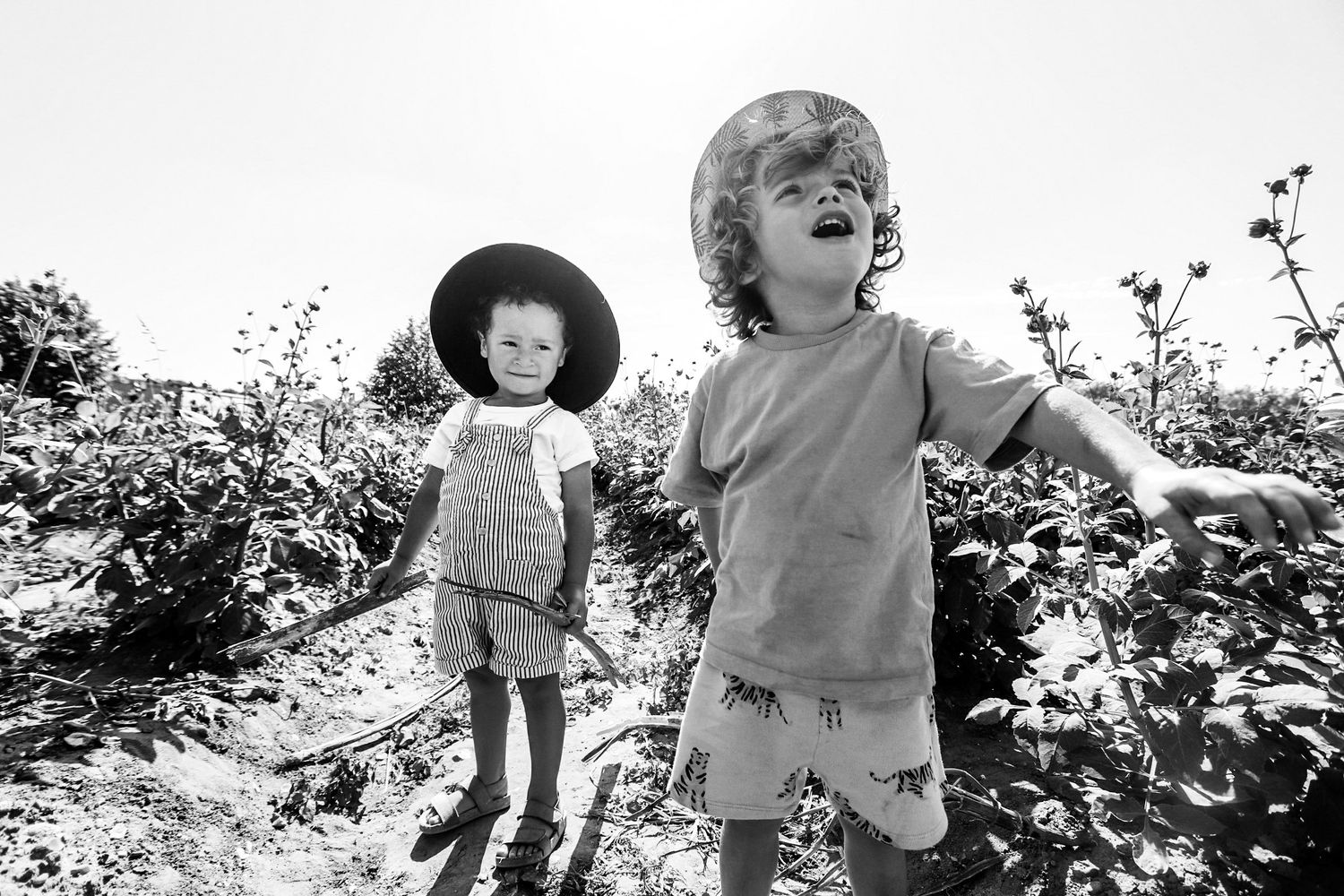 Children's photography at Garson's Farm, Surrey