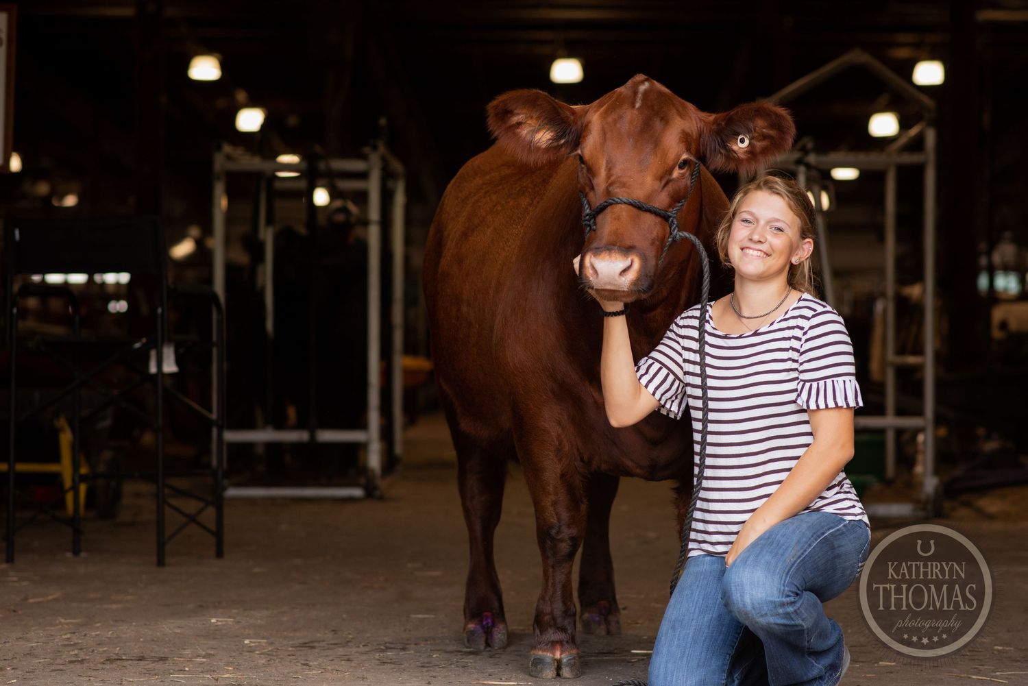 A person poses with a red-brown show cow in an indoor barn setting.