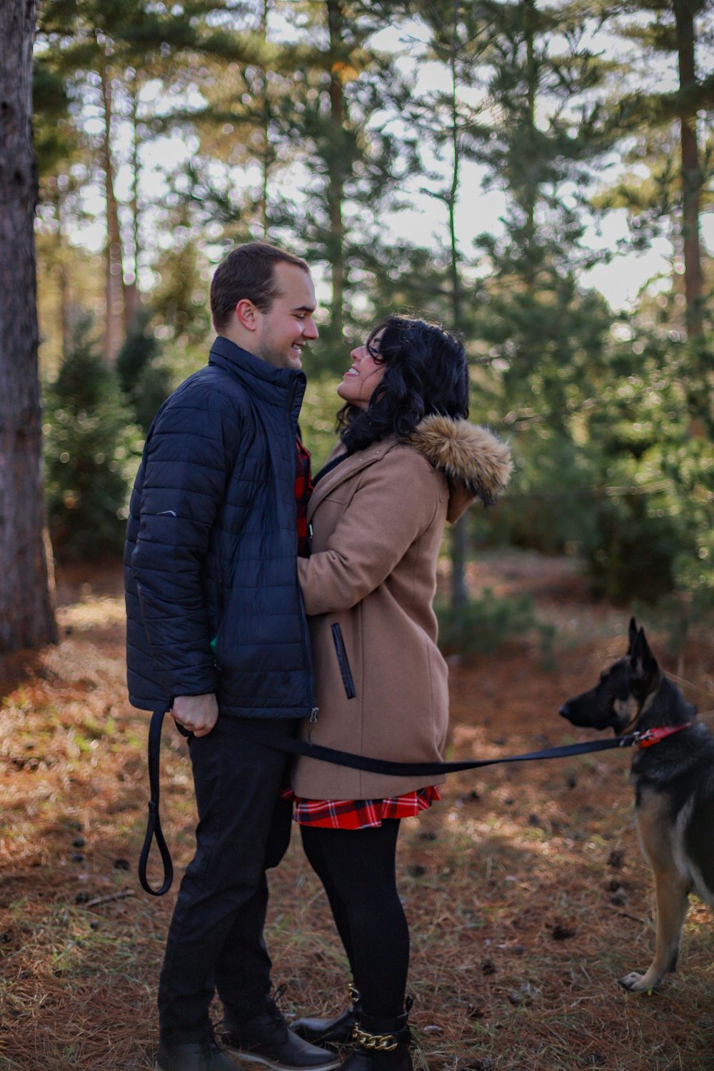 A couple shares a romantic moment surrounded by autumn trees while walking their German Shepherd.