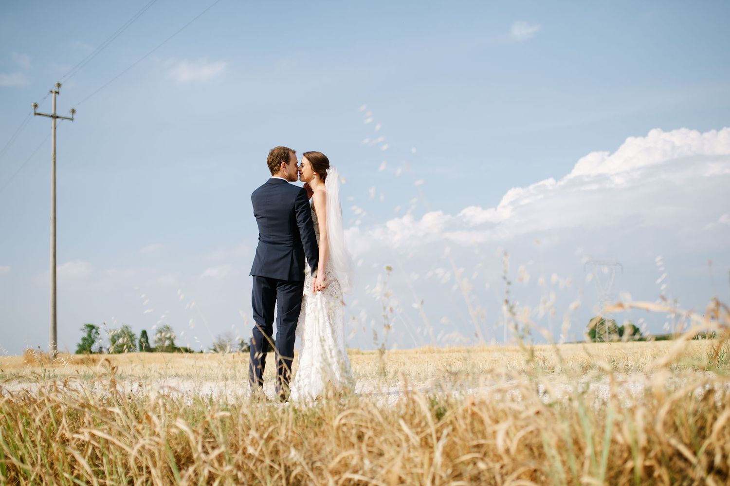A romantic wedding couple shares a kiss in a golden wheat field under blue summer skies.