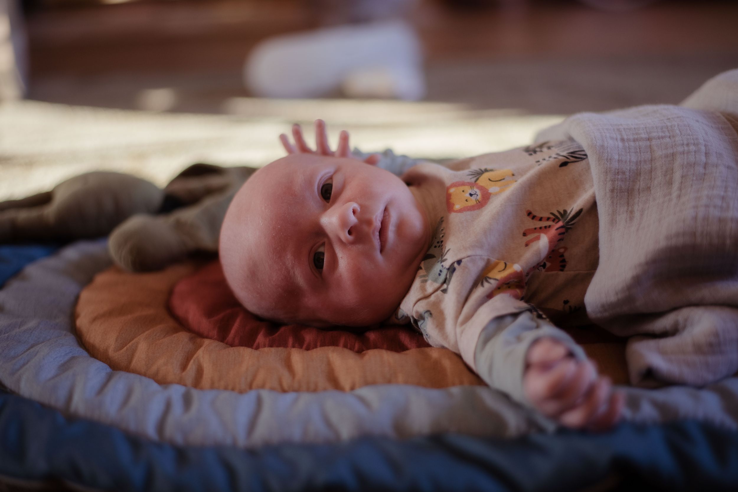 Newborn Photography, Skagit Valley, Washington