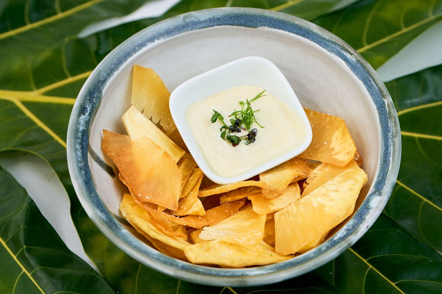 Tortilla chips and white dip served in blue ceramic bowl on large green leaf.