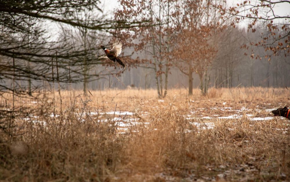 Portraits sunset, moody, hunting, outfitter photography