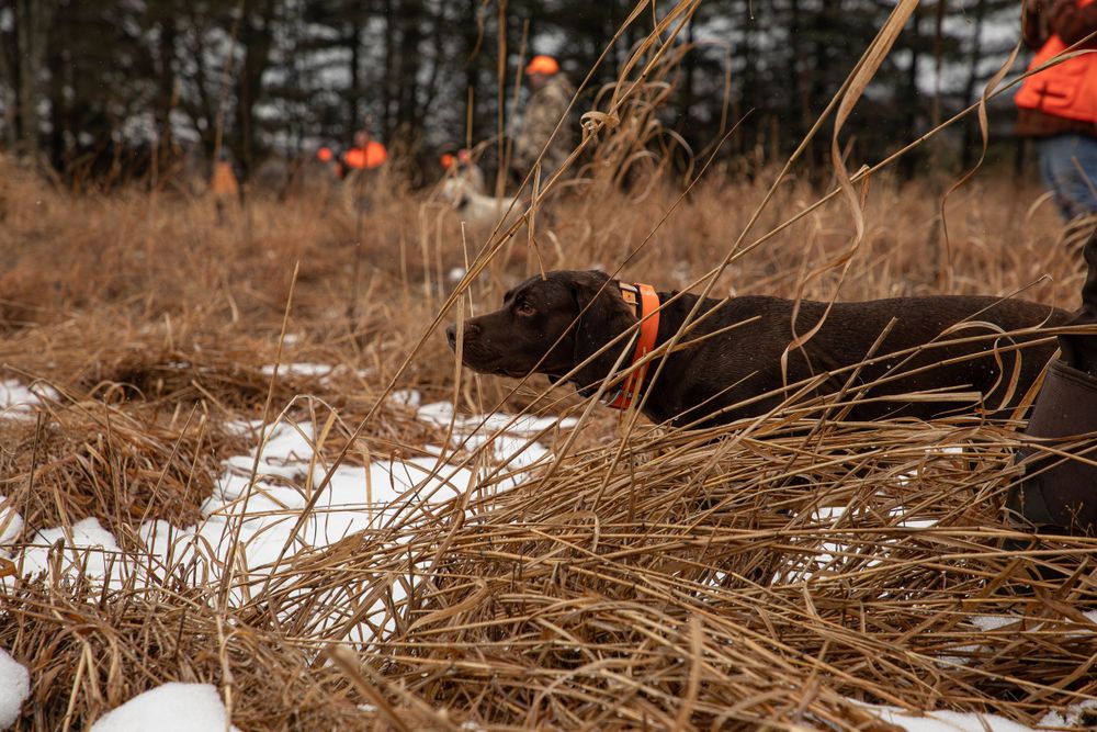 Portraits sunset, moody, hunting, outfitter photography