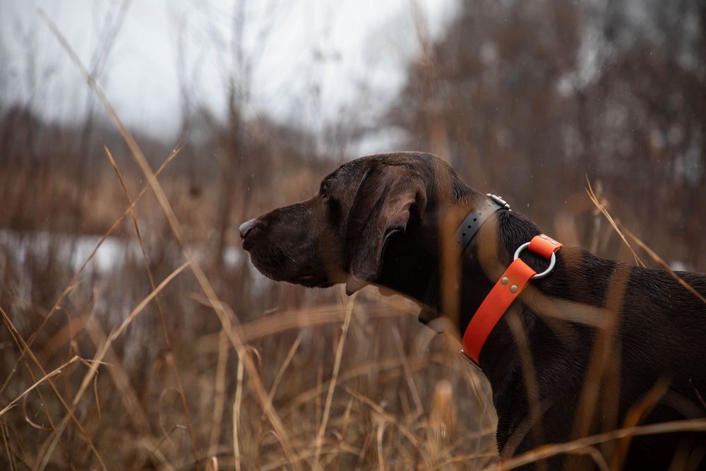 Portraits sunset, moody, hunting, outfitter photography