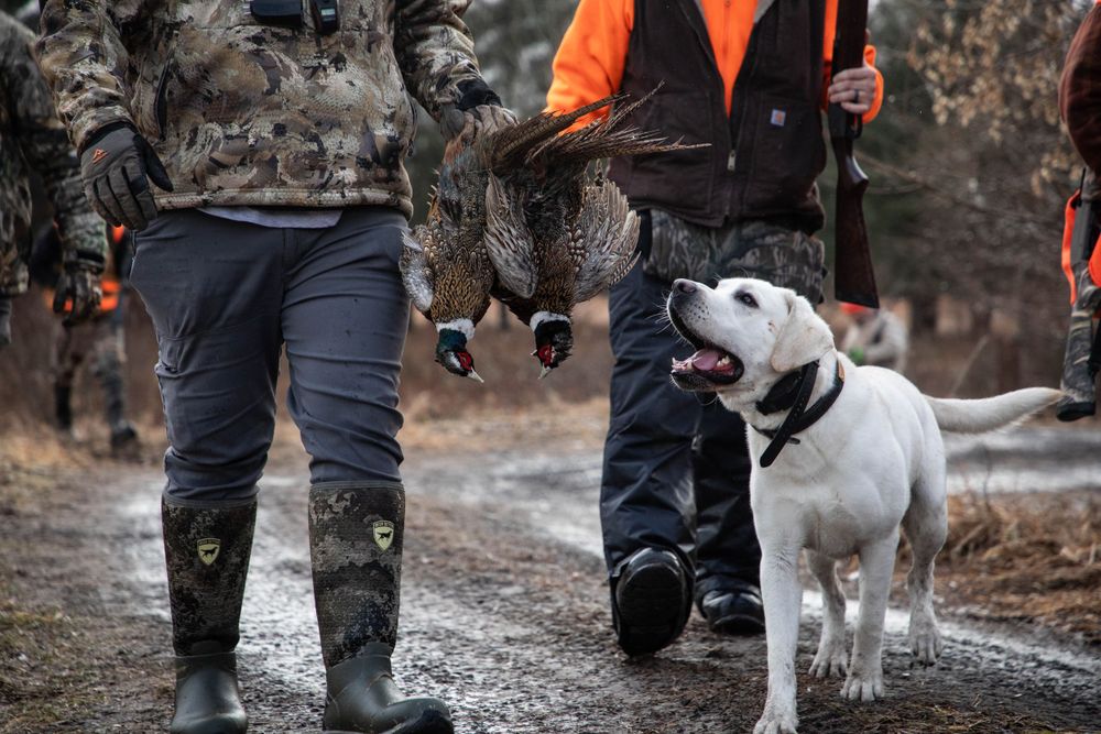 Portraits sunset, moody, hunting, outfitter photography