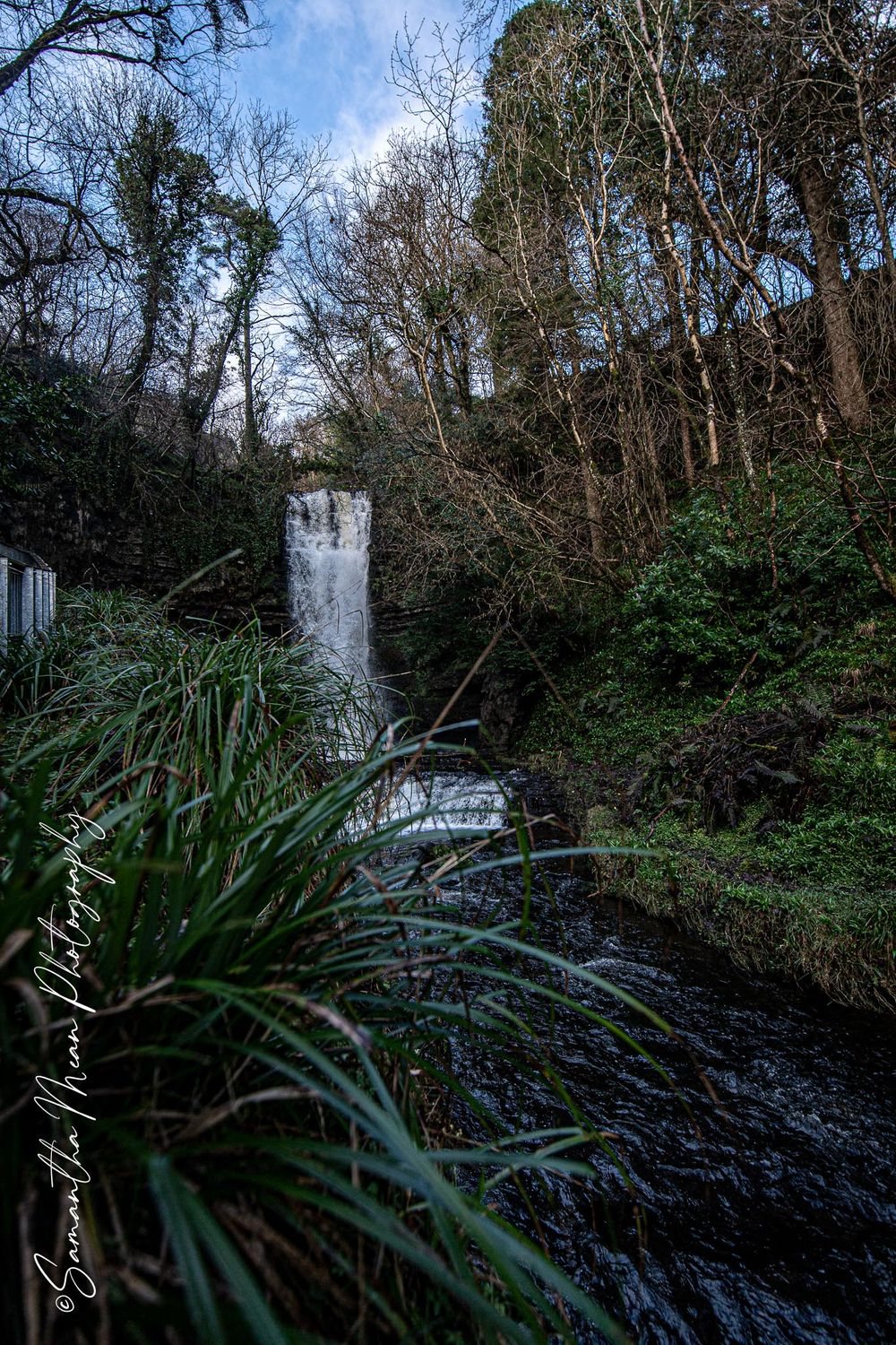Nature image
