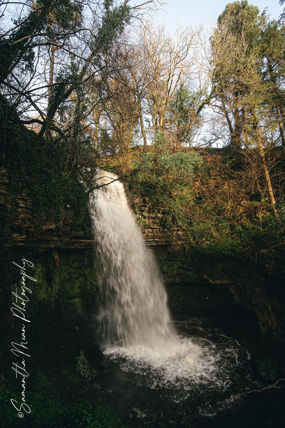 Nature Image