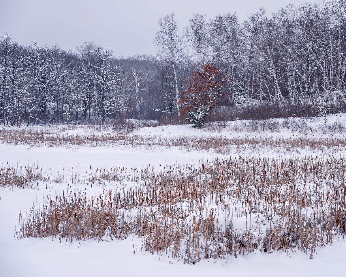 Winter field, by Jeremy Simonson