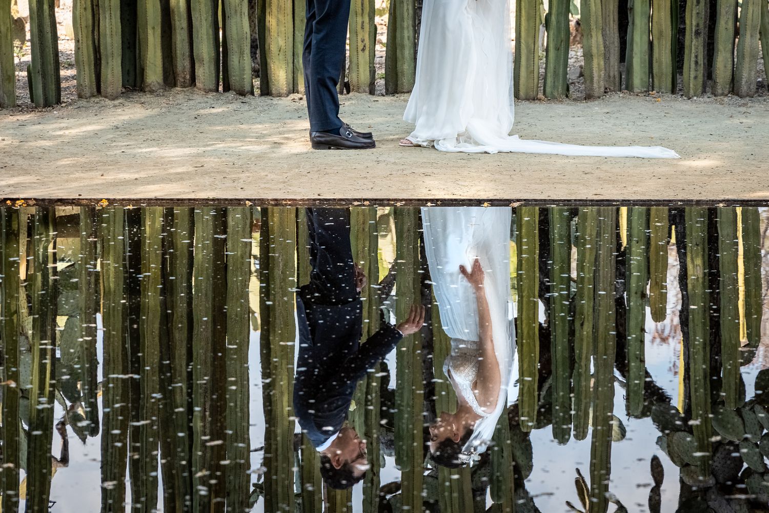 Wedding couple's reflection in water with wooden fence backdrop creates mirror image effect.