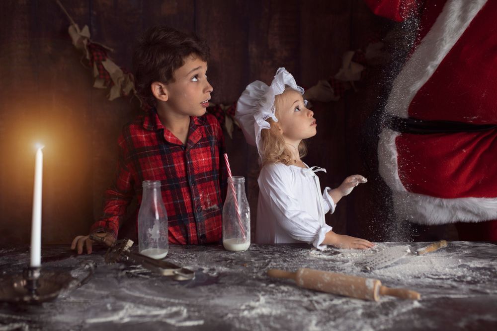 eden prairie christmas mini sessions