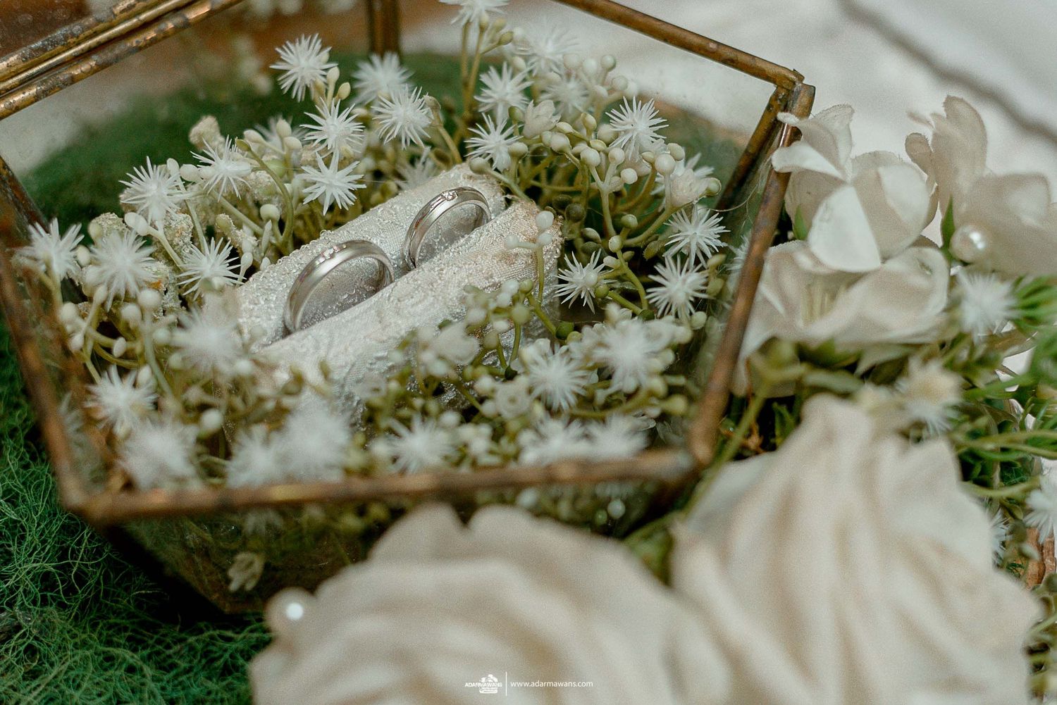 Wedding rings displayed in geometric glass terrarium with delicate white flowers and greenery.
