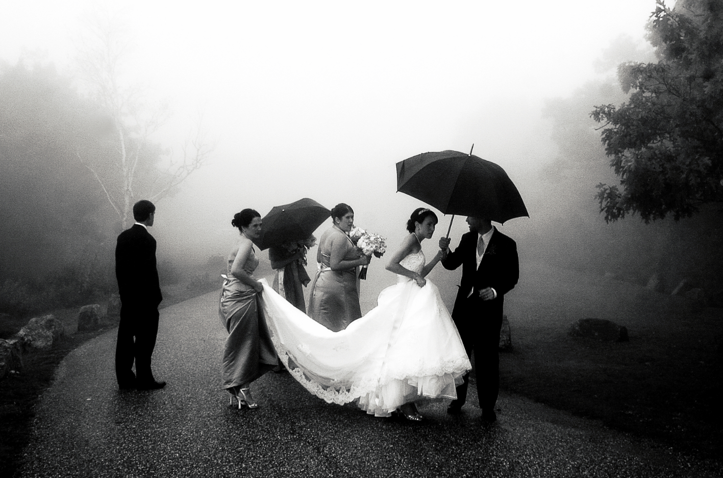 Mount battie Camden Maine wedding