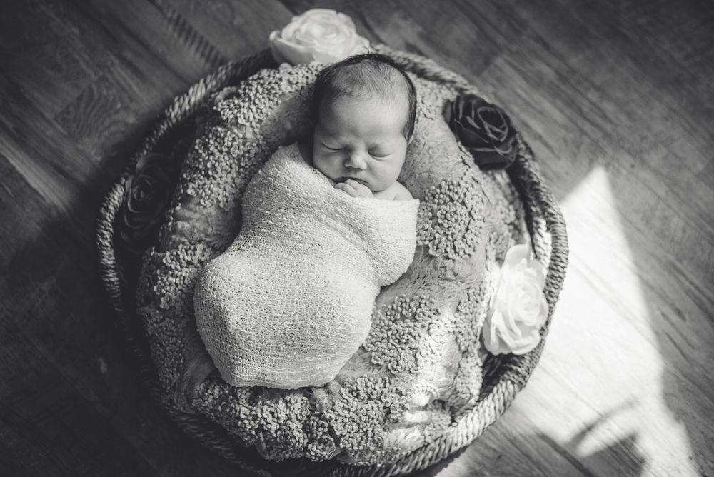 Jennifer Santoro Photography