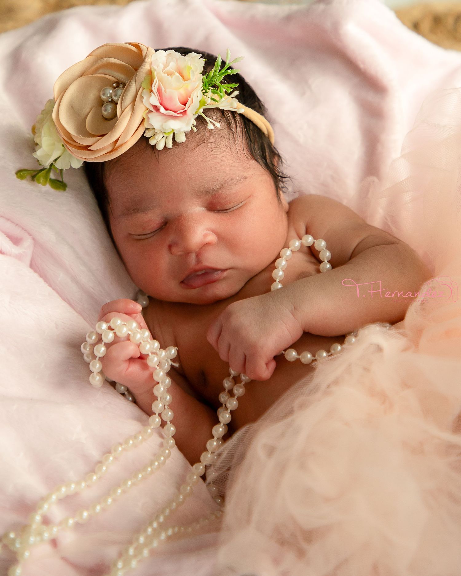 newborn photographer Columbia South Carolina