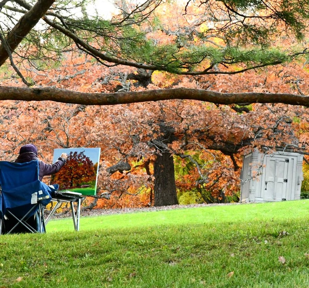 Artist painting autumn foliage while sitting in a camping chair under a colorful tree.