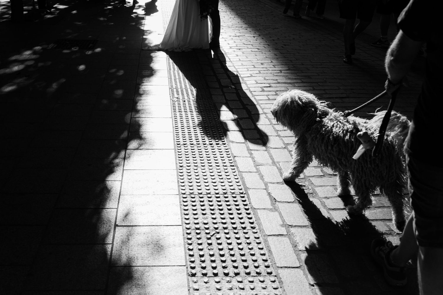 A dog and its owner cast long shadows on a textured sidewalk in black and white contrasting lighting in Seville, Spain