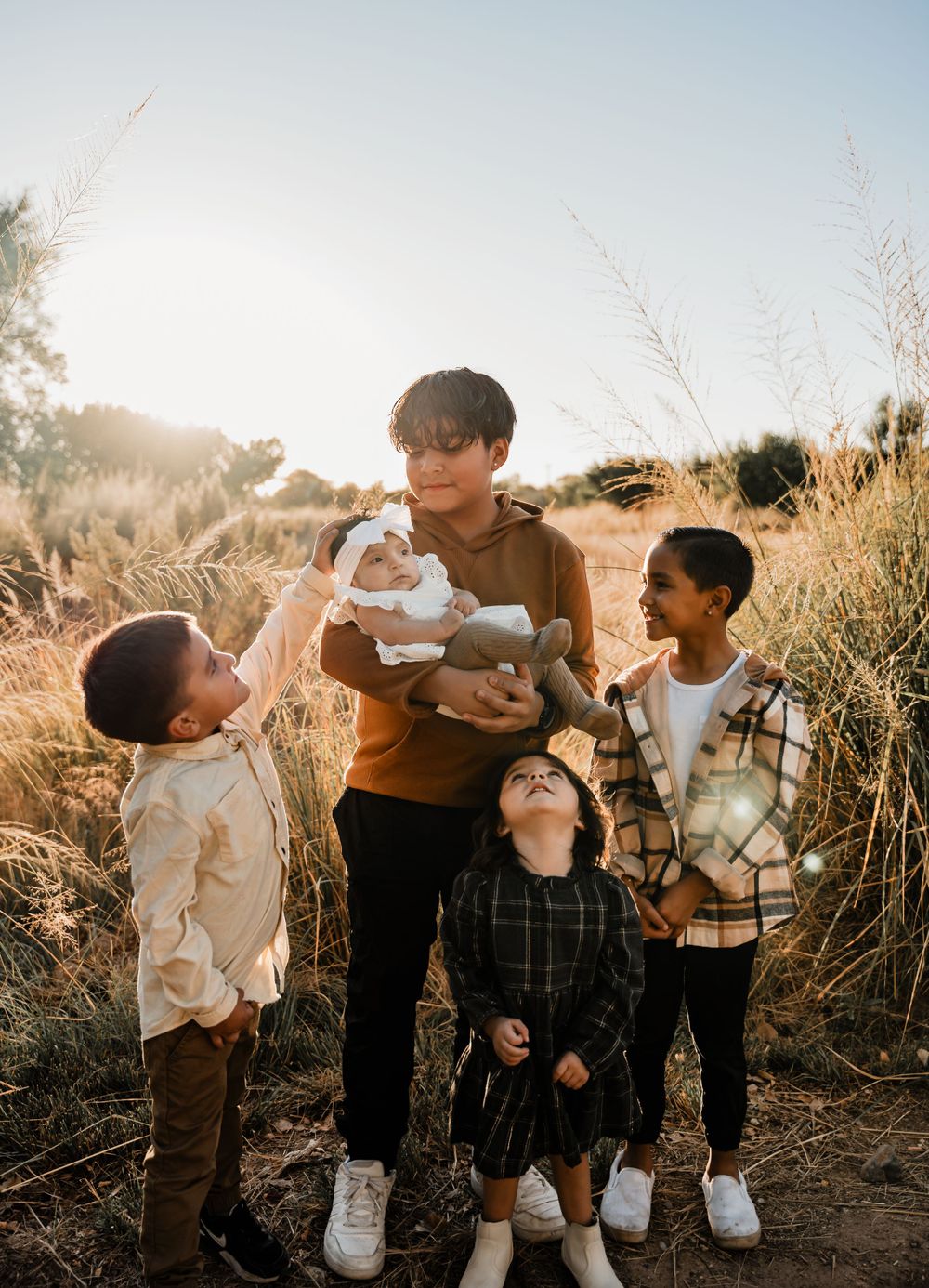 Family enjoying playful moments together in a golden sunlit field during sunset.