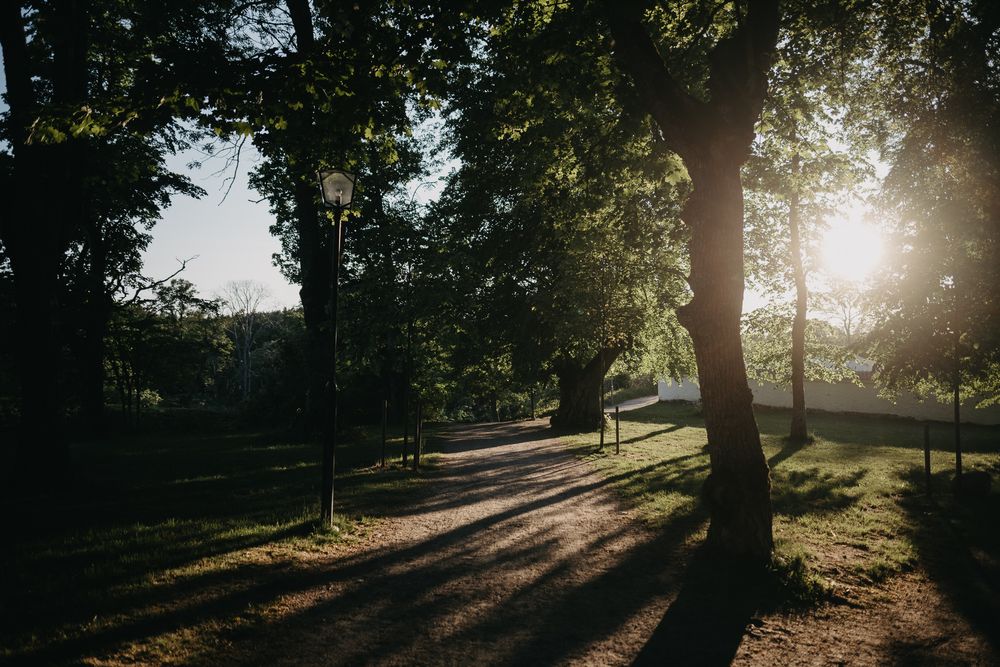 Bröllopsfotograf Stockholm Tyresö slott