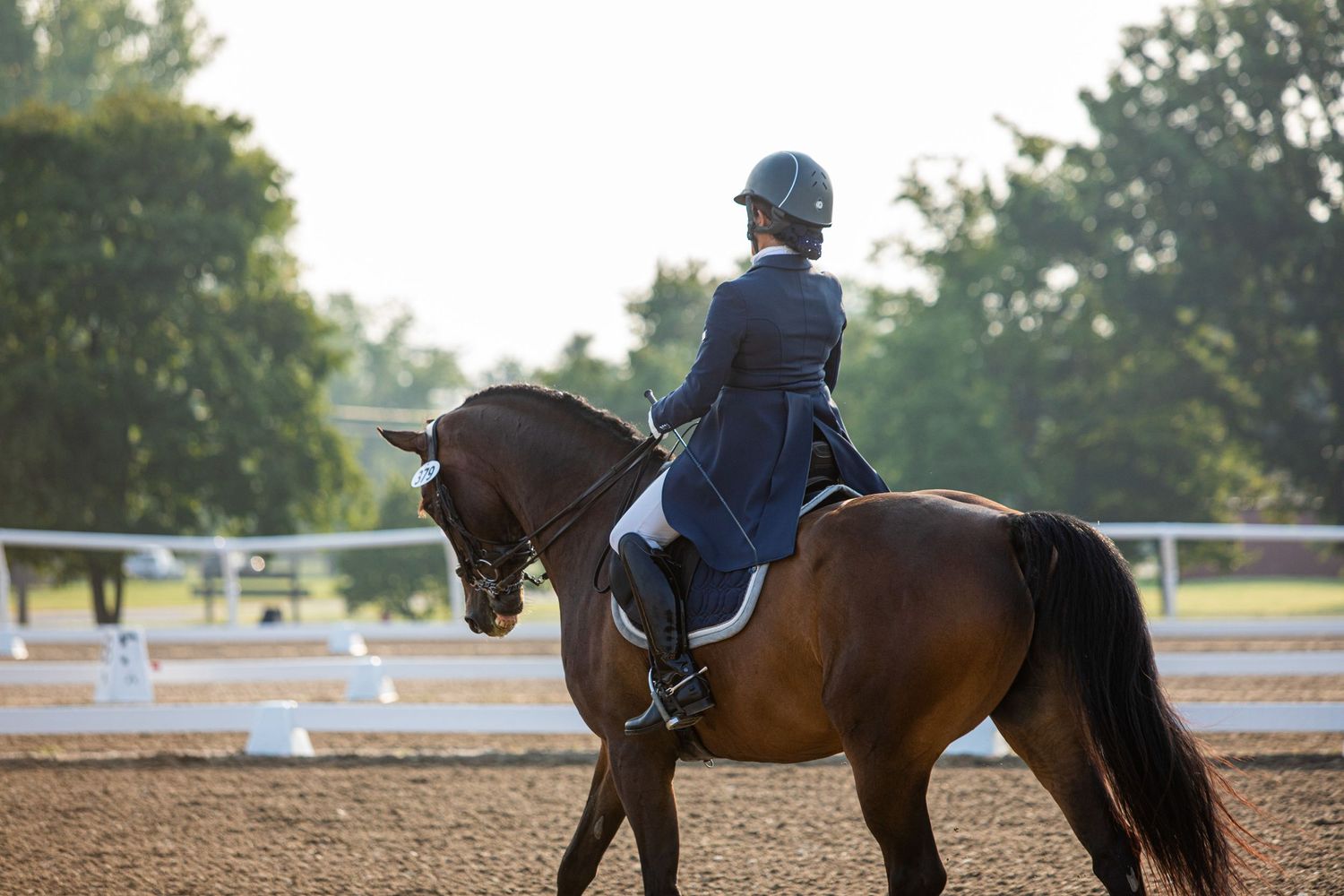 Equestrian rider performing dressage movements in sandy arena.