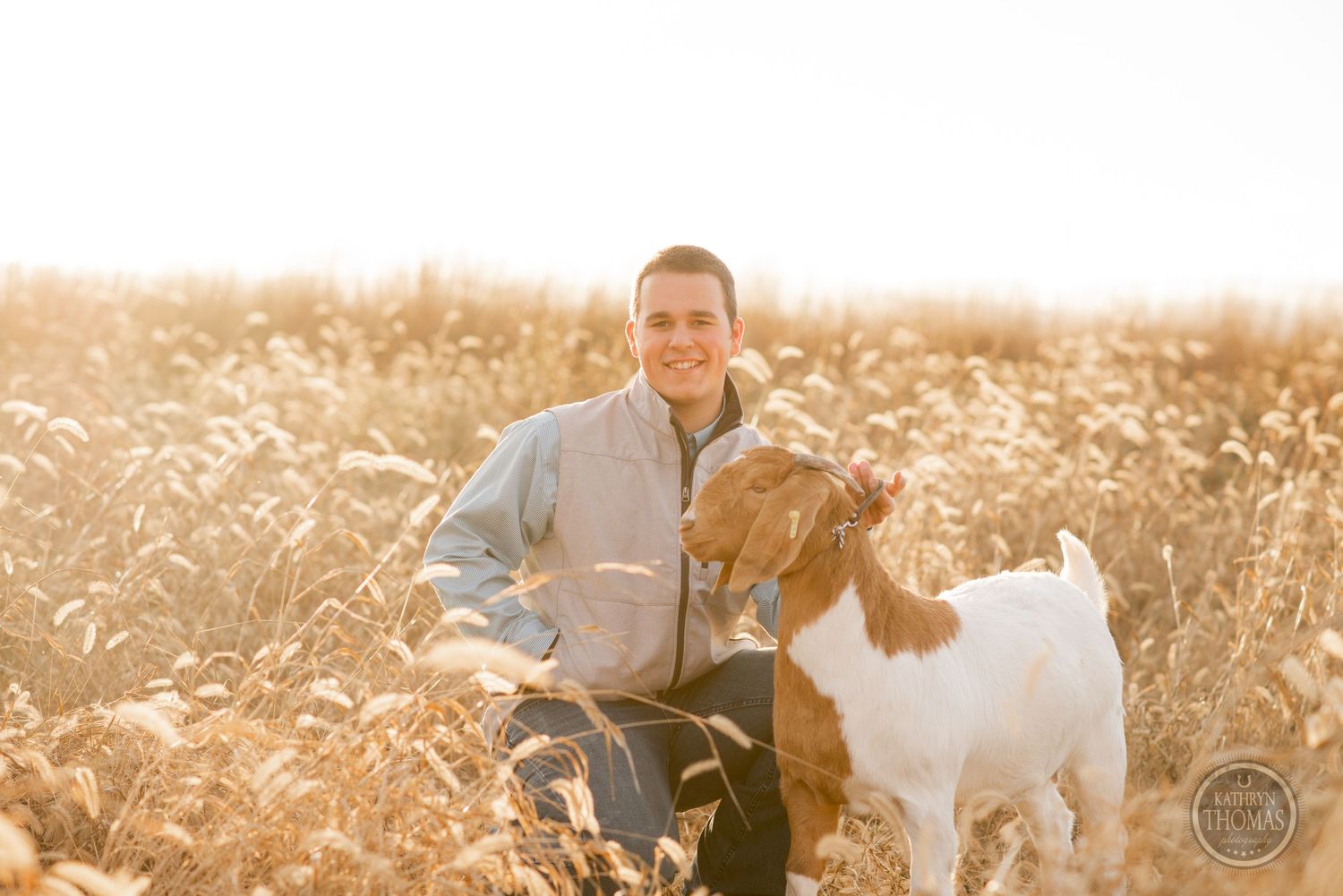 Person kneels beside Boer goats in sun-drenched autumn field.