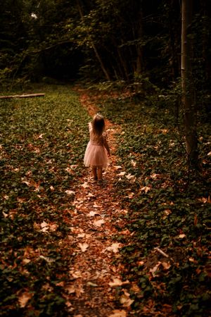 A dreamy scene of someone in a pink dress walking along a leaf-covered forest path in autumn lighting.
